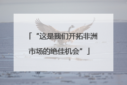 “这是我们开拓非洲市场的绝佳机会”
