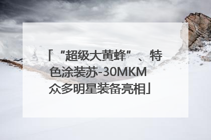 “超级大黄蜂”、特色涂装苏-30MKM 众多明星装备亮相