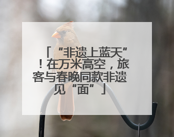 “非遗上蓝天”！在万米高空，旅客与春晚同款非遗见“面”