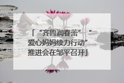 “齐鲁润春蕾”“爱心妈妈续力行动”推进会在邹平召开