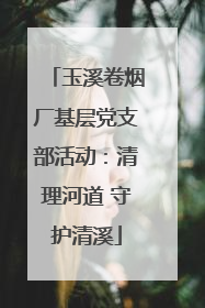 玉溪卷烟厂基层党支部活动：清理河道 守护清溪