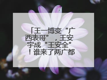 王一博变“广西表哥”，王安宇成“王安全”！谁来了两广都得“腌入味”