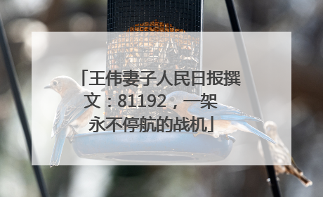 王伟妻子人民日报撰文：81192，一架永不停航的战机