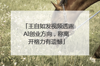 王自如发视频透露AI创业方向，称离开格力有遗憾