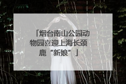 烟台南山公园动物园喜迎上海长颈鹿“新娘”