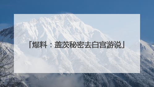 爆料：盖茨秘密去白宫游说