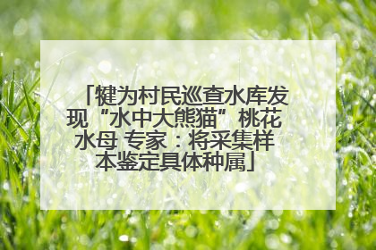 犍为村民巡查水库发现“水中大熊猫”桃花水母 专家：将采集样本鉴定具体种属