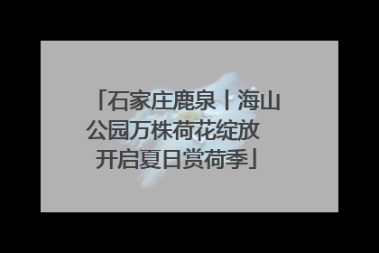 石家庄鹿泉丨海山公园万株荷花绽放 开启夏日赏荷季
