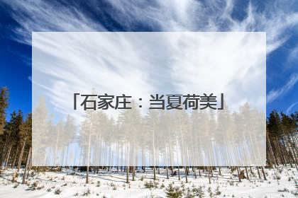石家庄：当夏荷美