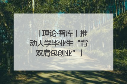 理论·智库丨推动大学毕业生“背双肩包创业”