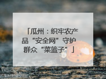 瓜州：织牢农产品“安全网”守护群众“菜篮子”