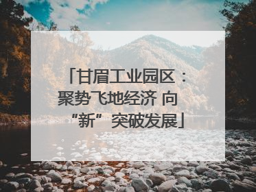 甘眉工业园区：聚势飞地经济 向“新”突破发展