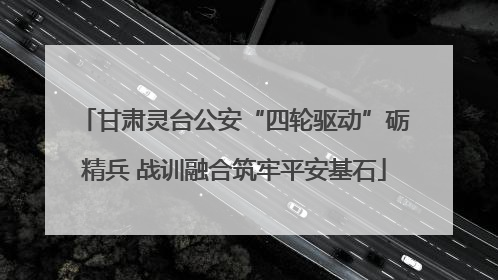 甘肃灵台公安“四轮驱动”砺精兵 战训融合筑牢平安基石