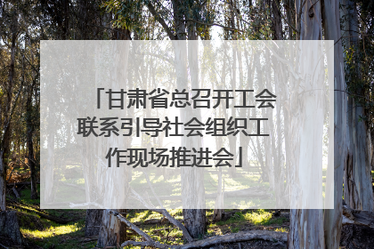甘肃省总召开工会联系引导社会组织工作现场推进会