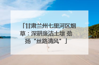甘肃兰州七里河区烟草：深耕廉洁土壤 劲扬“丝路清风”