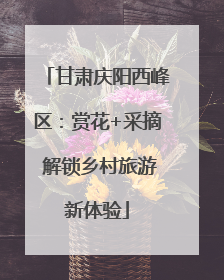 甘肃庆阳西峰区：赏花+采摘 解锁乡村旅游新体验