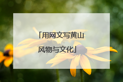 用网文写黄山风物与文化