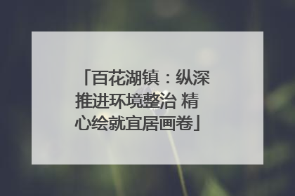 百花湖镇：纵深推进环境整治 精心绘就宜居画卷