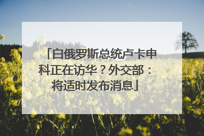 白俄罗斯总统卢卡申科正在访华？外交部：将适时发布消息