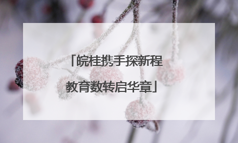 皖桂携手探新程 教育数转启华章