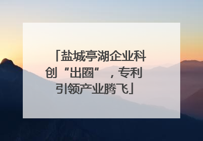 盐城亭湖企业科创“出圈”，专利引领产业腾飞