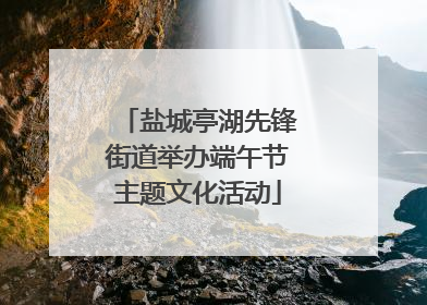 盐城亭湖先锋街道举办端午节主题文化活动