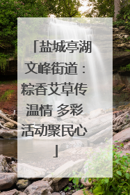 盐城亭湖文峰街道：粽香艾草传温情 多彩活动聚民心