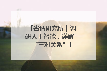 省情研究所｜调研人工智能，详解“三对关系”