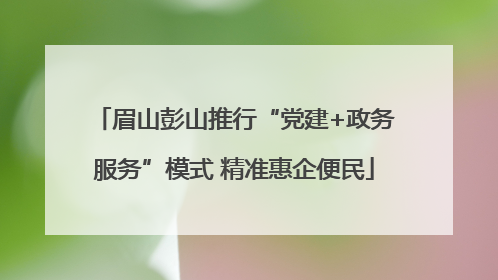 眉山彭山推行“党建+政务服务”模式 精准惠企便民