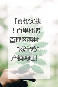 真帮实扶！百里杜鹃管理区两村“威宁鸡”产销两旺
