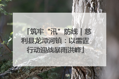筑牢“汛”防线｜慈利县龙潭河镇：以雷霆行动迎战暴雨洪峰