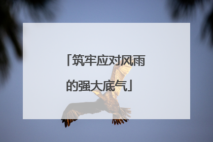 筑牢应对风雨的强大底气