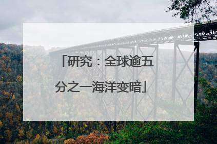 研究：全球逾五分之一海洋变暗