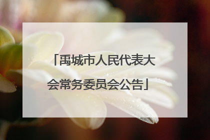 禹城市人民代表大会常务委员会公告