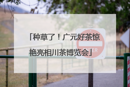 种草了！广元好茶惊艳亮相川茶博览会