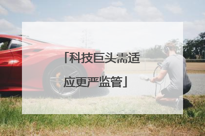 科技巨头需适应更严监管