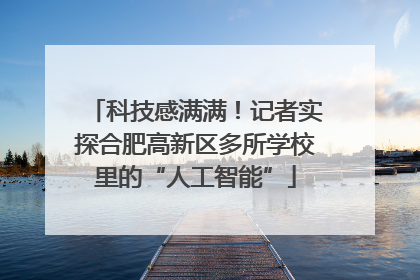 科技感满满！记者实探合肥高新区多所学校里的“人工智能”