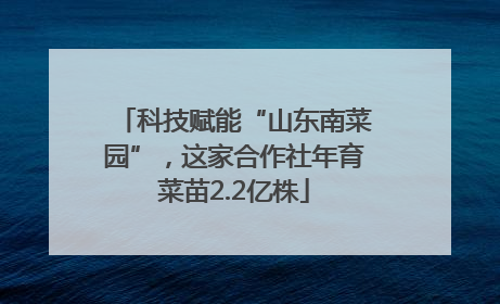 科技赋能“山东南菜园”，这家合作社年育菜苗2.2亿株