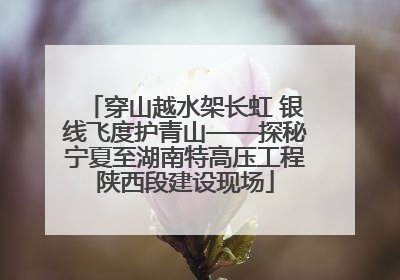 穿山越水架长虹 银线飞度护青山——探秘宁夏至湖南特高压工程陕西段建设现场