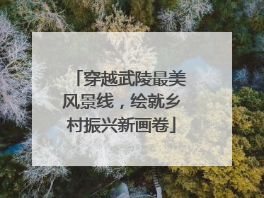 穿越武陵最美风景线，绘就乡村振兴新画卷
