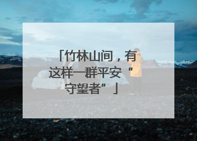 竹林山间，有这样一群平安“守望者”