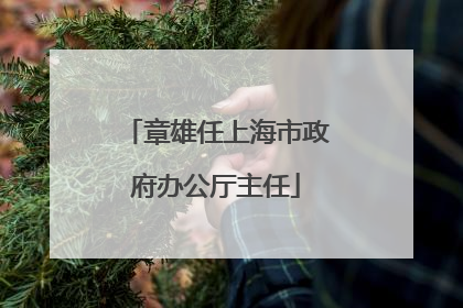 章雄任上海市政府办公厅主任