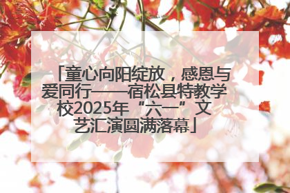 童心向阳绽放，感恩与爱同行——宿松县特教学校2025年“六一”文艺汇演圆满落幕
