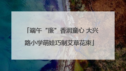 端午“廉”香润童心 大兴路小学萌娃巧制艾草花束