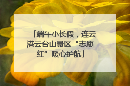 端午小长假，连云港云台山景区“志愿红”暖心护航