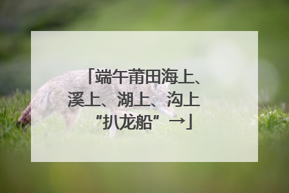 端午莆田海上、溪上、湖上、沟上“扒龙船”→