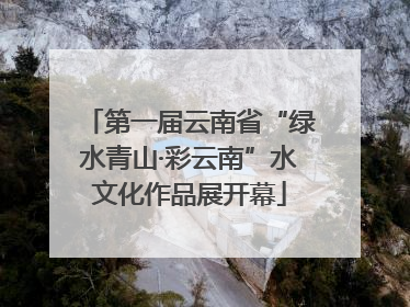 第一届云南省“绿水青山·彩云南”水文化作品展开幕