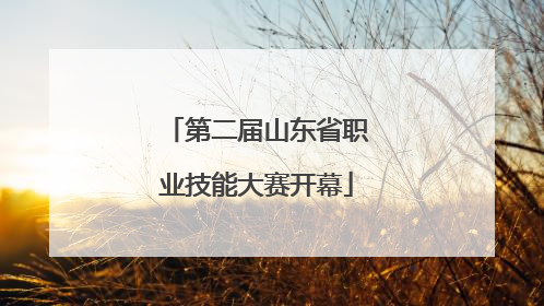 第二届山东省职业技能大赛开幕