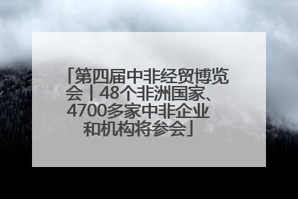 第四届中非经贸博览会丨48个非洲国家、4700多家中非企业和机构将参会