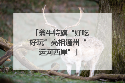 翁牛特旗“好吃好玩”亮相通州“运河西岸”